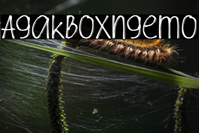 Agak Boxing Demo Example 3