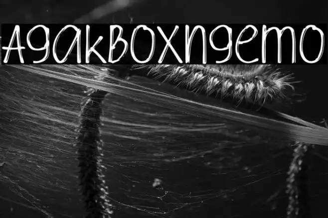 Agak Boxing Demo Example 3
