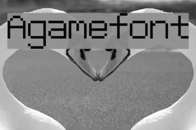 Agamefont Example 2
