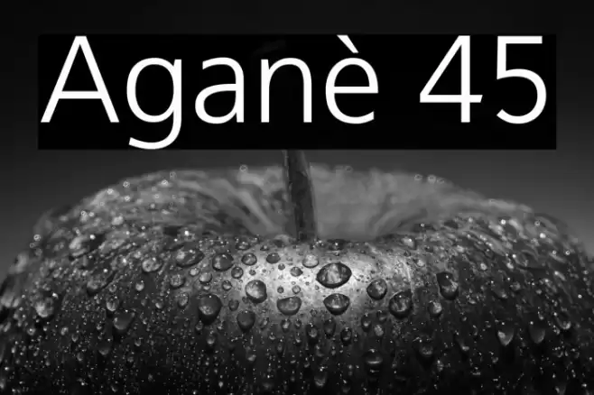 Aganè 45 Font examples