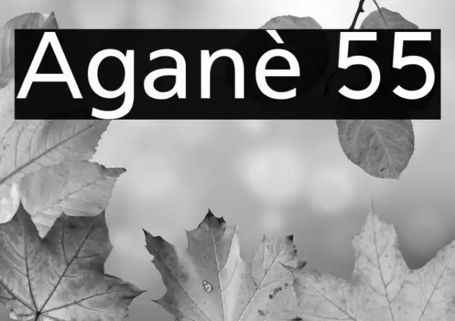 Aganè 55 Example 1