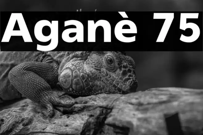 Aganè 75 Font examples