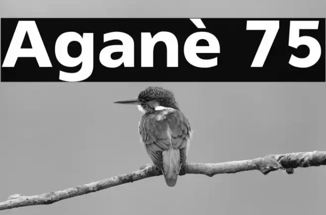 Aganè 75 Font examples