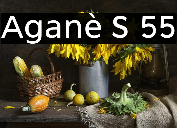 Aganè S 55 Example 1