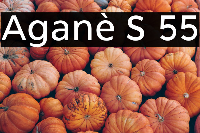 Aganè S 55 Example 2