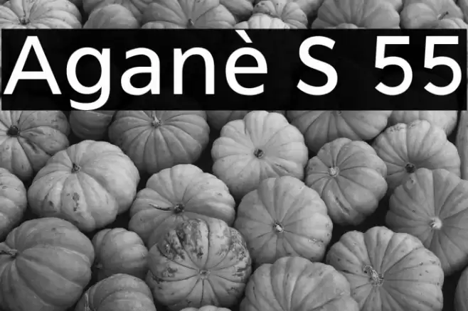 Aganè S 55 Font examples