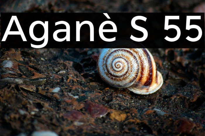 Aganè S 55 Example 3