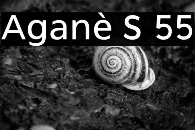 Aganè S 55 Font examples