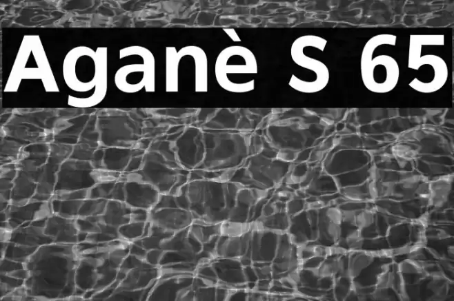 Aganè S 65 Font examples