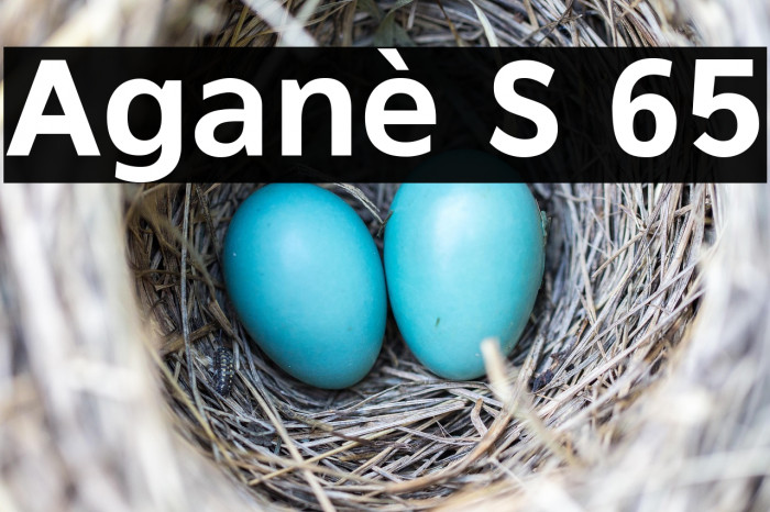 Aganè S 65 Example 3