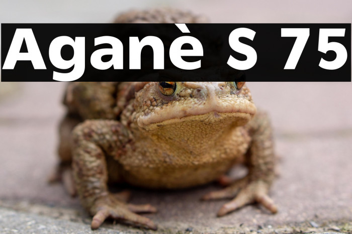 Aganè S 75 Example 2