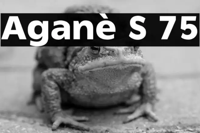 Aganè S 75 Example 2