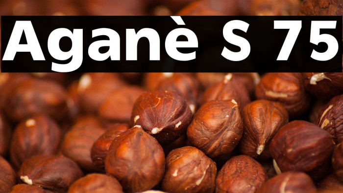 Aganè S 75 Example 3