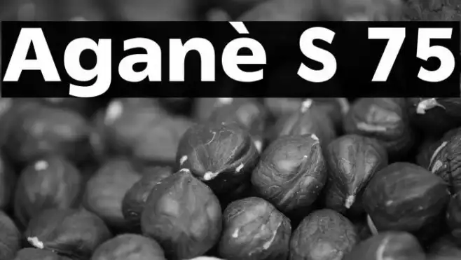 Aganè S 75 Example 3