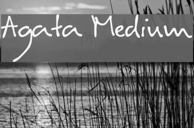 Agata Medium Example 2