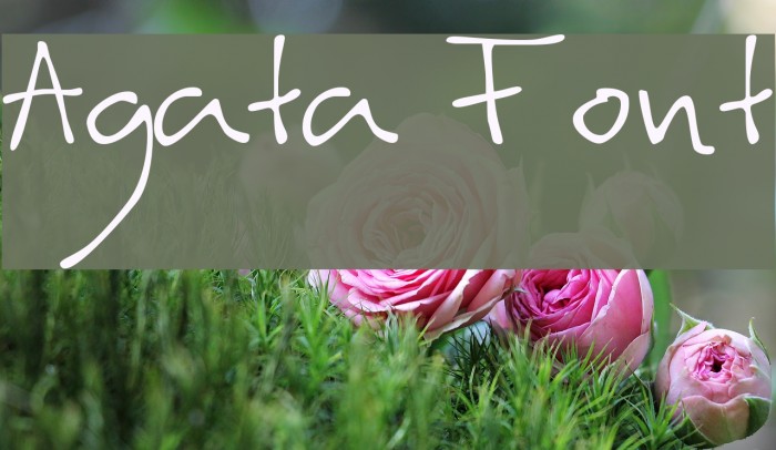 Agata Font examples