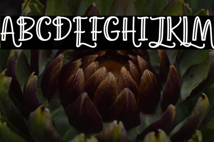 Agatha Caroline Outlined Example 2