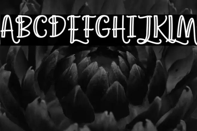 Agatha Caroline Outlined Font examples