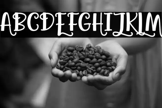 Agatha Caroline Font examples