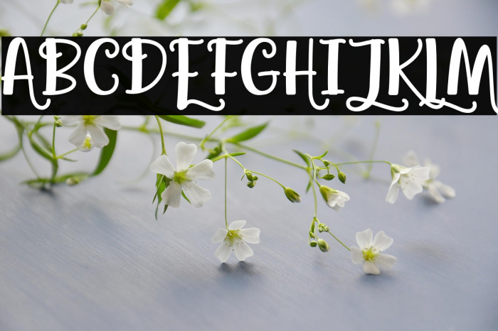 Agatha Caroline Example 3