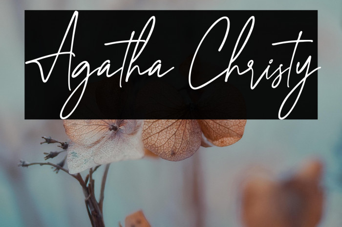 Agatha Christy Example 1