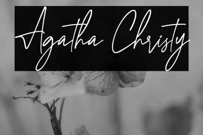 Agatha Christy Example 1