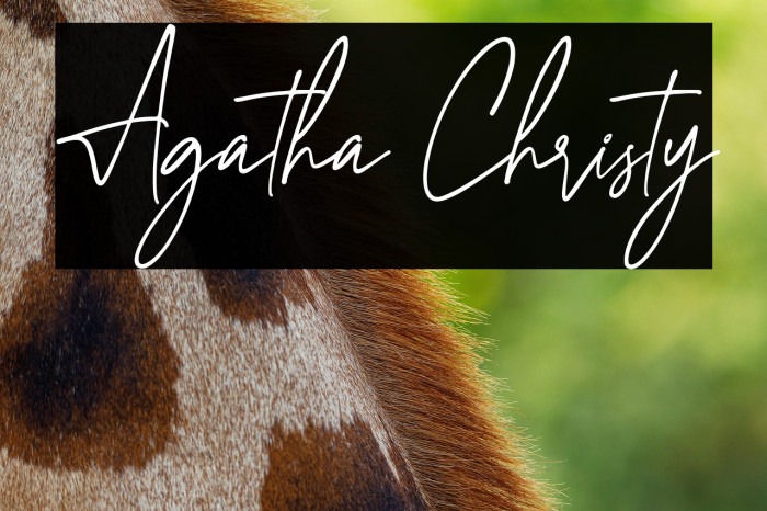 Agatha Christy Example 2