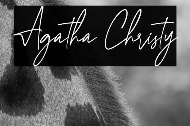 Agatha Christy Example 2