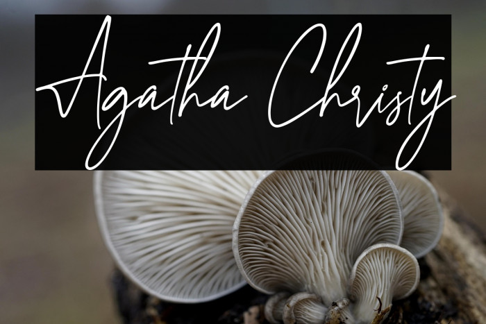 Agatha Christy Example 3