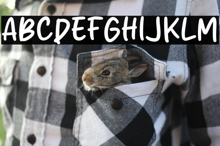 Agatha Miranda Example 1