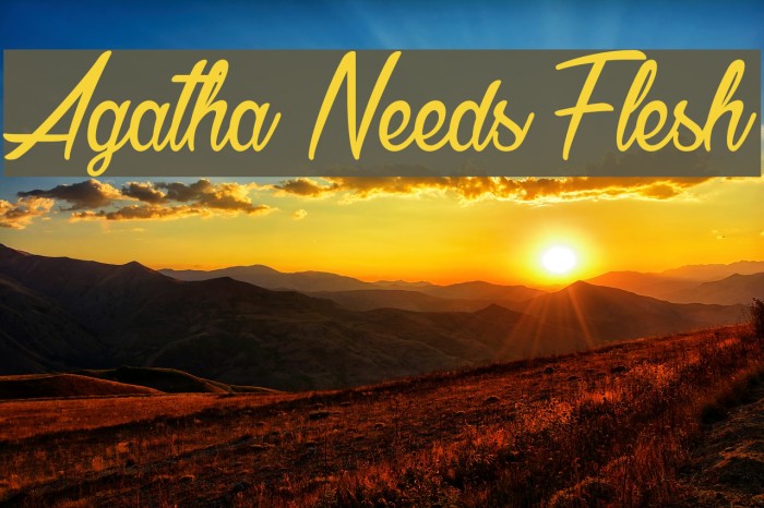Agatha Needs Flesh Font examples