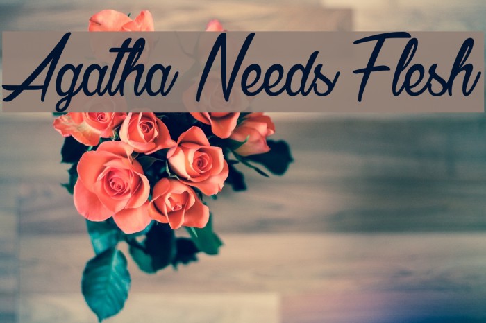 Agatha Needs Flesh Font examples
