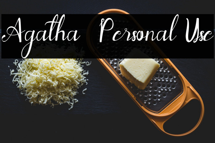 Agatha - Personal Use Example 1