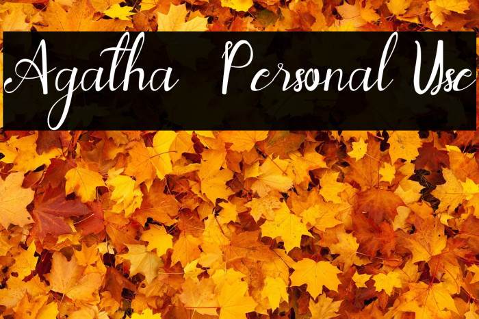 Agatha - Personal Use Example 2
