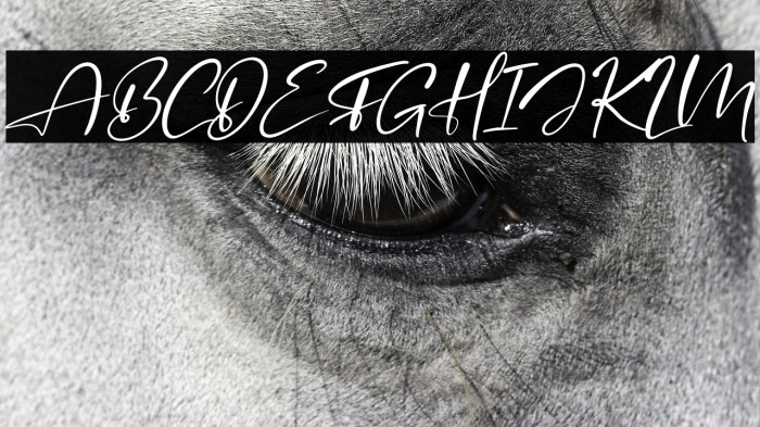 Agatha Putri Italic Example 2