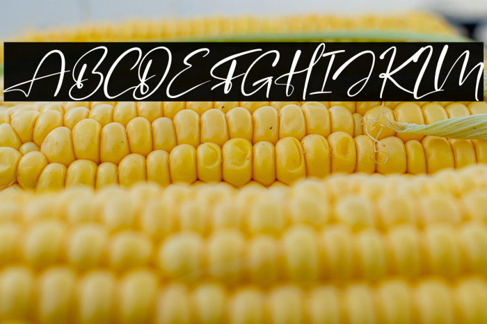 Agatha Putri Italic Example 3