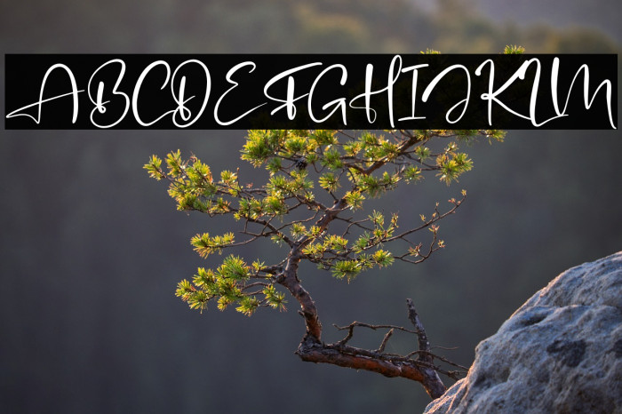 Agatha Putri Example 2