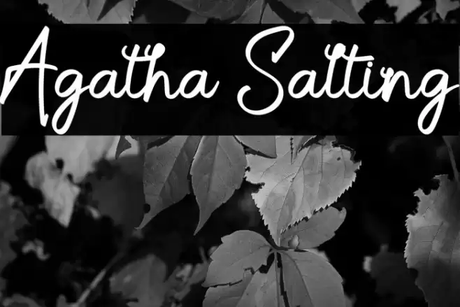Agatha Salting Font examples