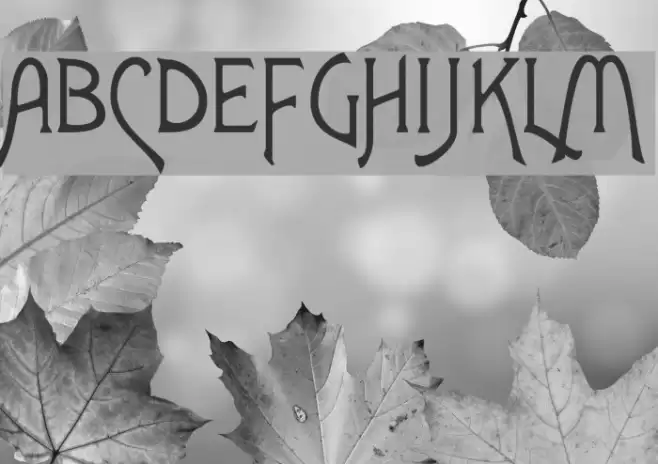 Agatha Font examples