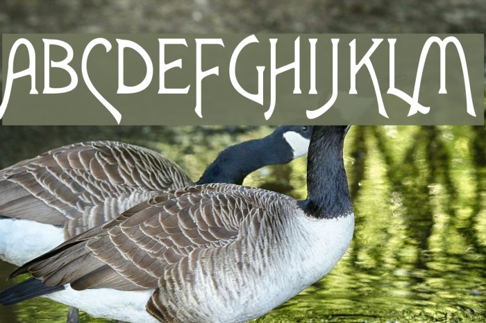 Agatha Font examples