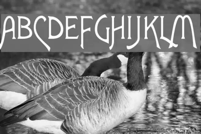 Agatha Font examples