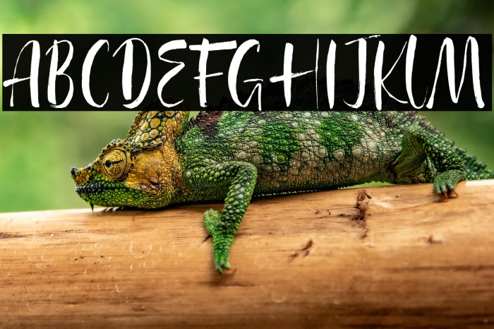 Agathe Ledden Demo Example 1