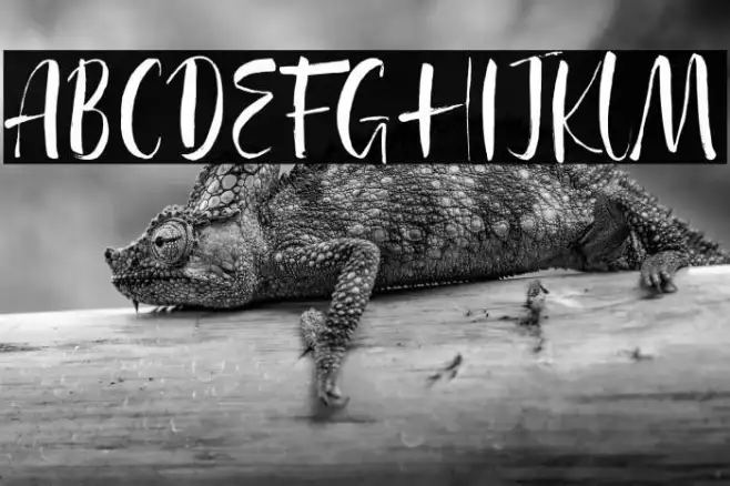 Agathe Ledden Demo Example 1