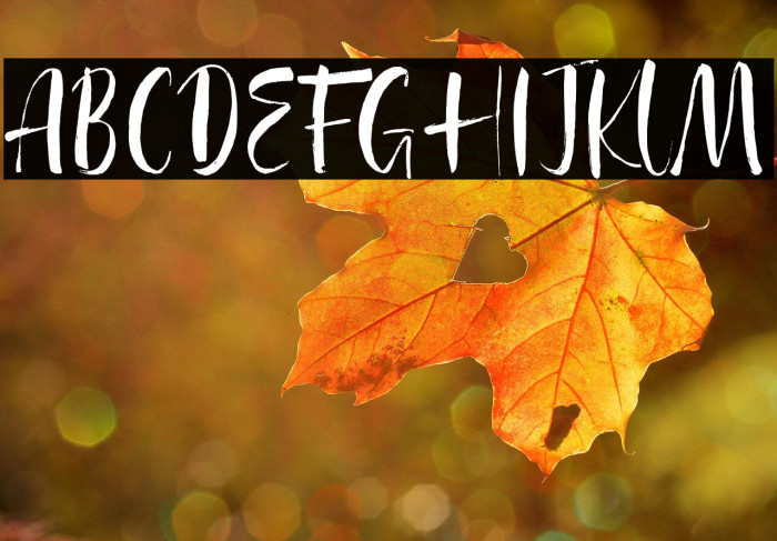 Agathe Ledden Demo Example 2