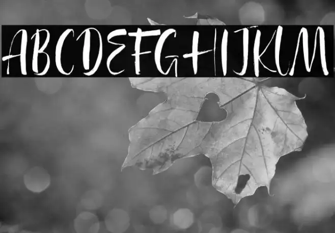 Agathe Ledden Demo Example 2