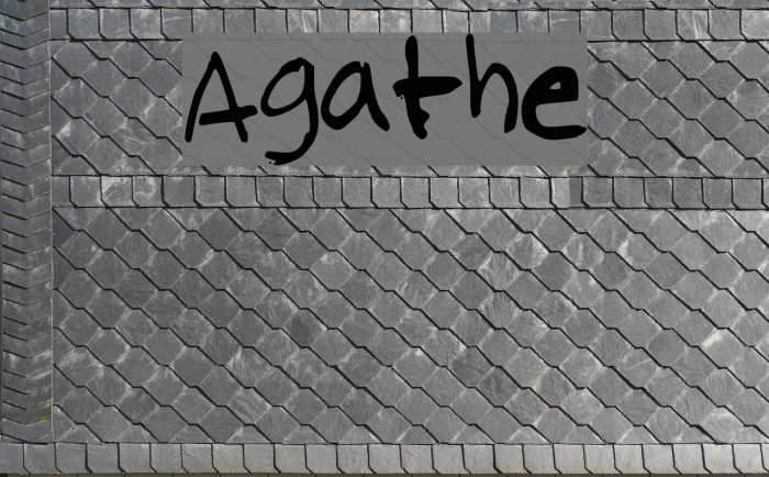 Agathe Шрифта examples