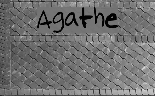 Agathe Font examples