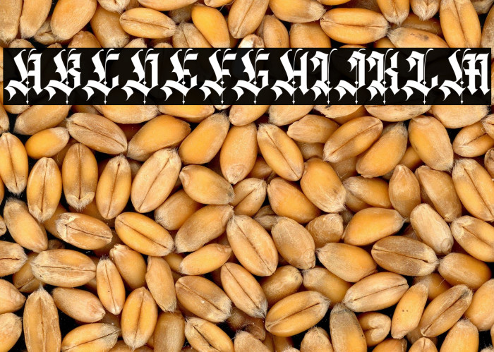 Agathiqy Regular Example 1