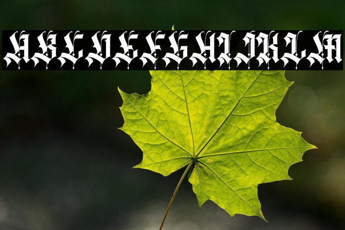 Agathiqy Regular Example 3