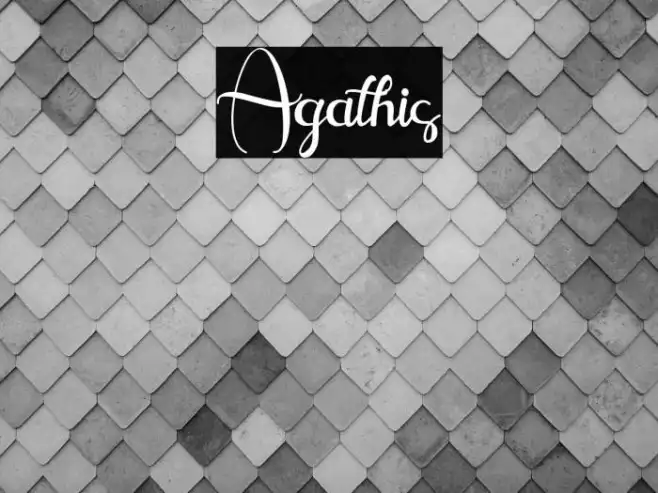 Agathis Example 1